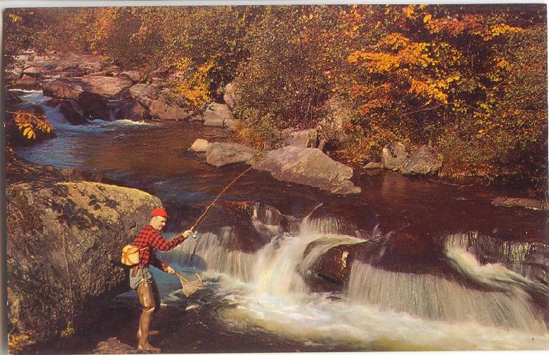 Postcard Fishing Falls Rapids Old Fishing Spot