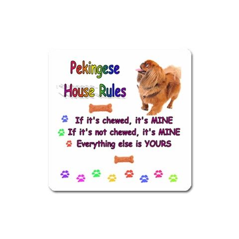 Puppies Unique Funny Comic Comical Slogan Picture Fridge Magnet