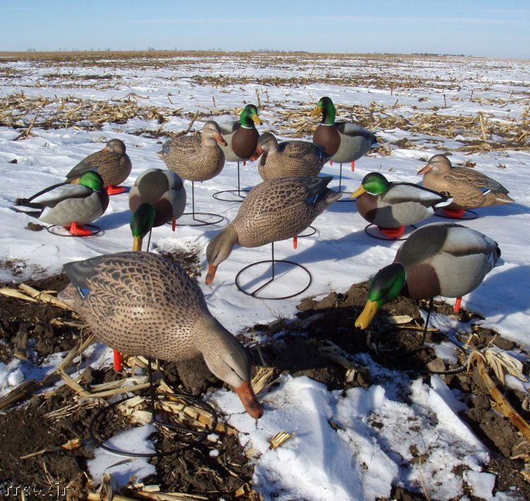 Avery Greenhead Gear FB Mallard Harvester Duck Decoys