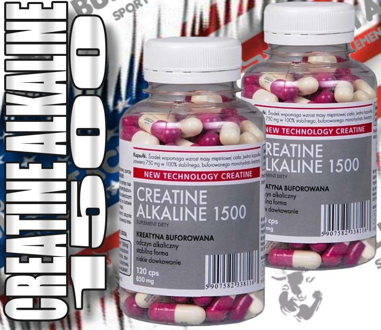 240 KAPSELN 1500 CREATINE ALKALINE PREISHAMER CREATIN