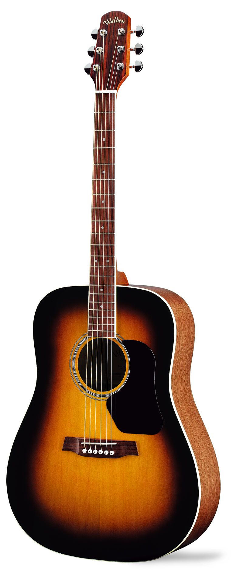 WALDEN D 350 SN Standard Dreadnought