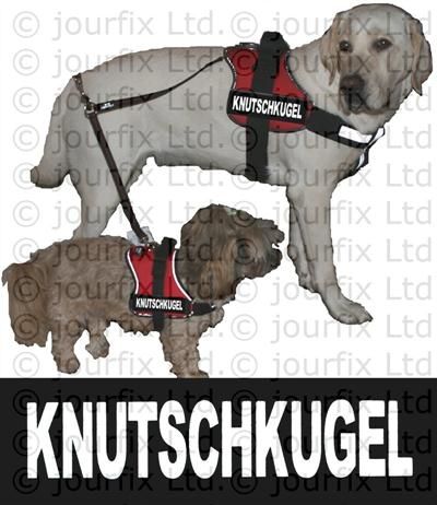 K9 Logo   klein für Julius K9 ® Power  + IDC  + TPP  + Gurtband