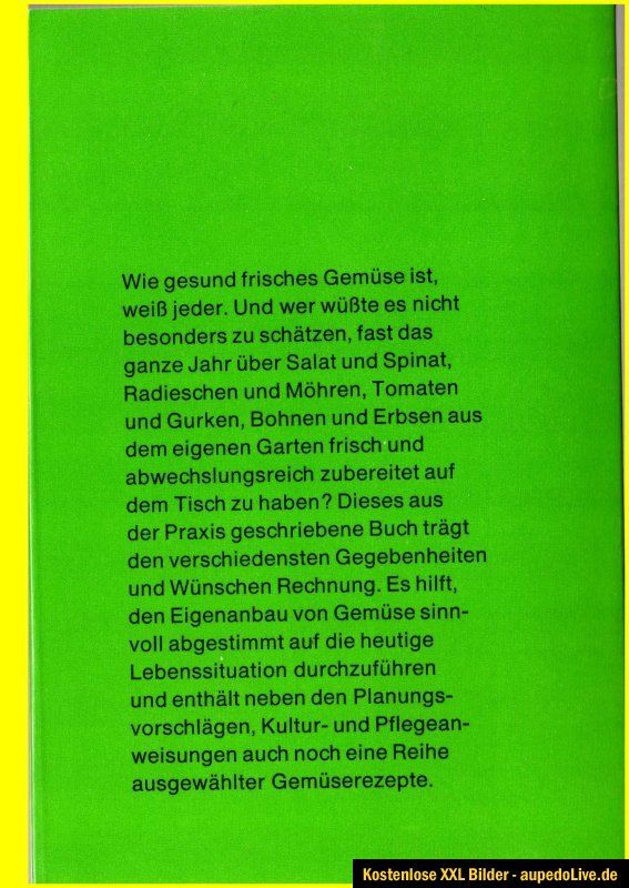 Gemüse im Garten frisches gesundes Gemüse Möhren Tomaten Gurken