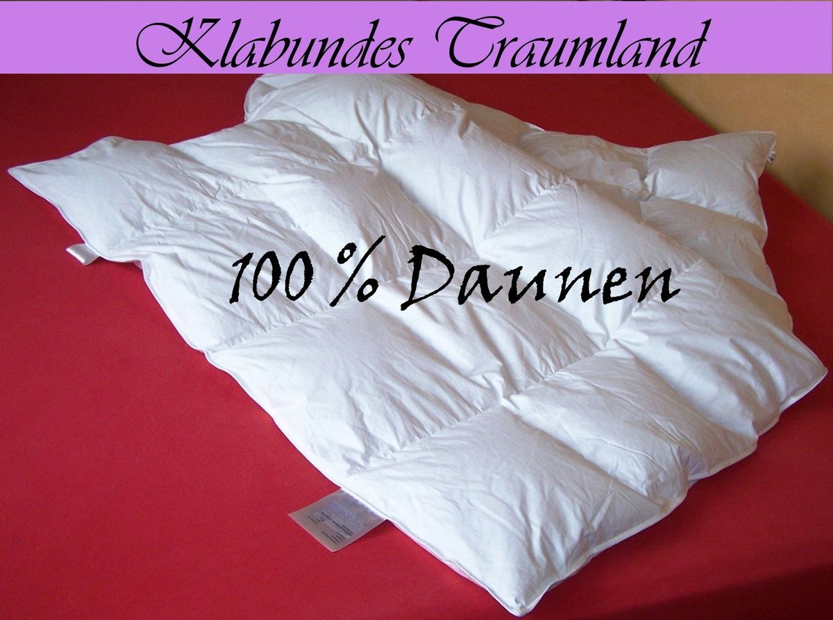 Schäfer Daunenbett 100% Daunen Bettdecke 4x6 Kassettendecke 135x200